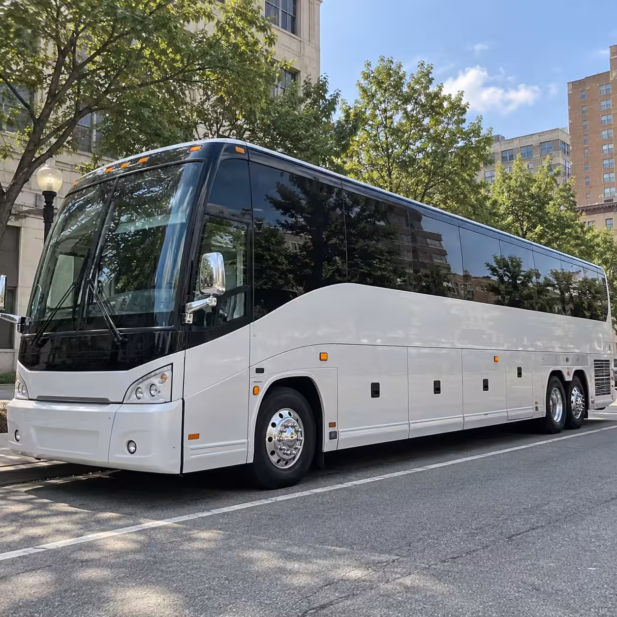 wedding transportation in fort collins and all the surrounding areas